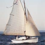 Petrel